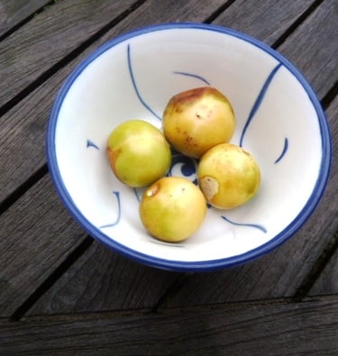 Fruits mûrs