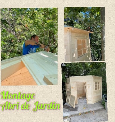 Étapes de montage d'un abri de jardin en bois par un bricoleur dans un jardin ombragé.