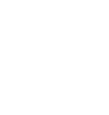 DanFalk Designs logo