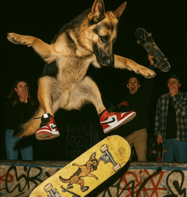 Chien qui fait un back flip en skate pour la journée mondiale des chiens