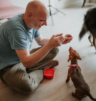 puppies for sale near me