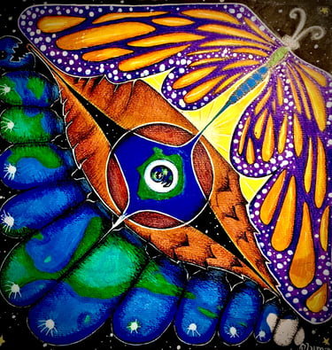 oruga & mariposa