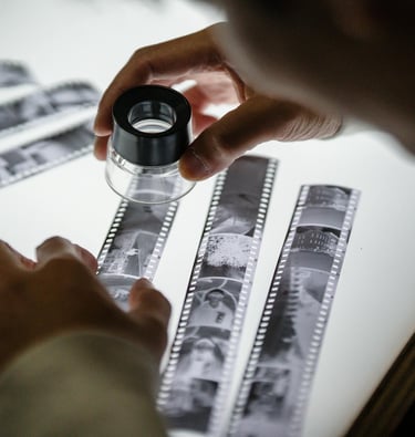 développement et numérisation