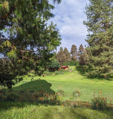 Ampthill downs