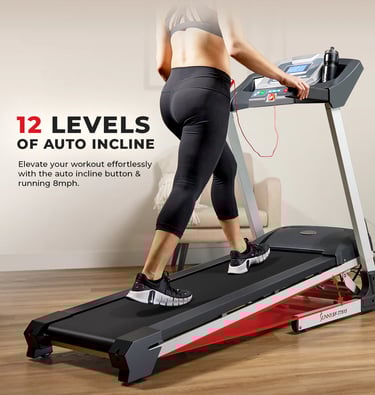 treadmill features