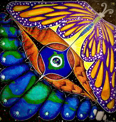 oruga & mariposa