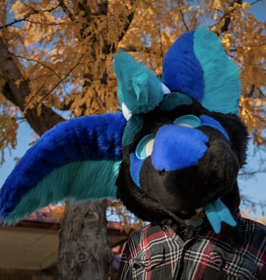 Blue and black dutch ange dragon fursuit madt by Teto Creations 