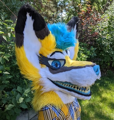 A yellow coyote fursuit featuring a full jaw set of silicone teeth and big ears as well as glow in the dark parts From Teto
