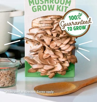 a box of mushrooms and mushrooms on a counter