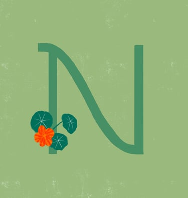 Letter N illustrated with nasturtium.