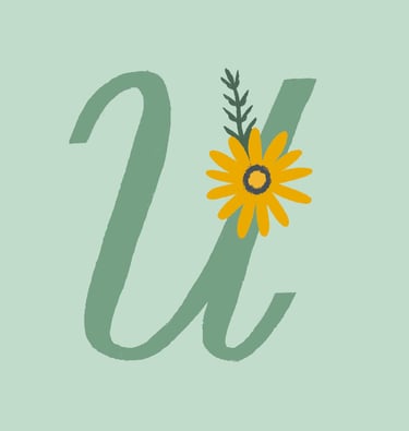 Letter U illustrated with ursinia flowers.