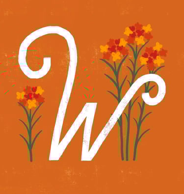 Letter W illustrated with wallflowers.