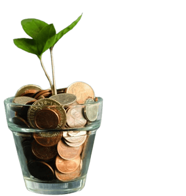 a green sapling growing in a jar of coins