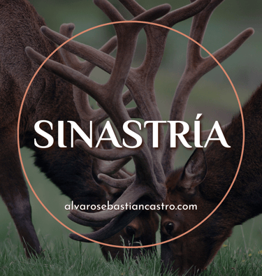 sinastría astrología para parejas