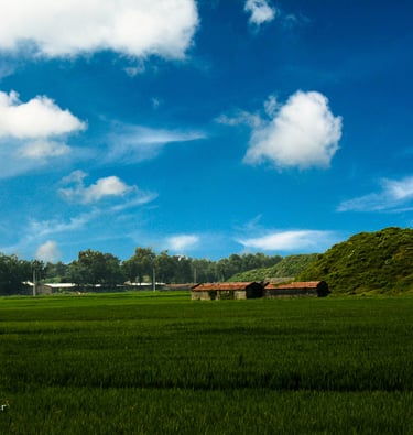 a beautiful pastoral picture of a green field with two huts whose roofs are red.