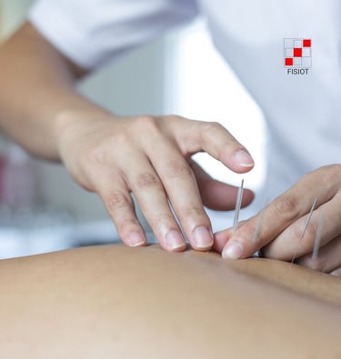 Pilates FISIOT em Lagoa Santa MG