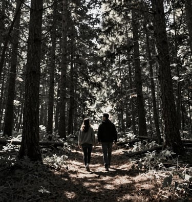 A cinematic wide shot of a couple walking through a North American forest, sun rays filtering through trees, Charcoal shadows.