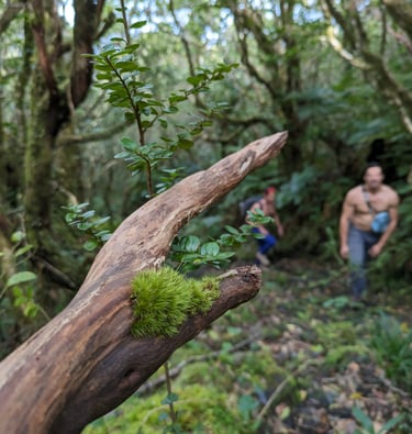 men hiking together on a retreat, photo Yoav goldwein