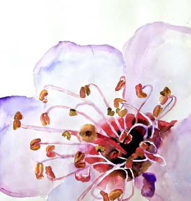 wojnowski floral architecture