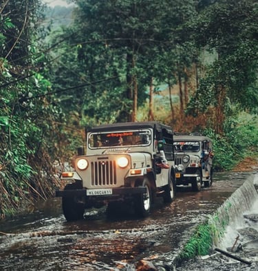 Mankulam Jeep Safari