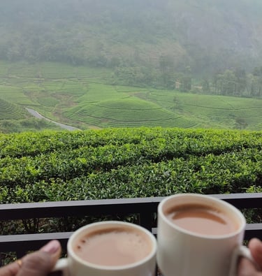 Having coffee at Zero degree jungle resort looking at tea estate.