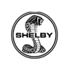 Bodrum Shelby Rental