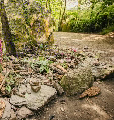 tombeau de merlin foret de broceliande