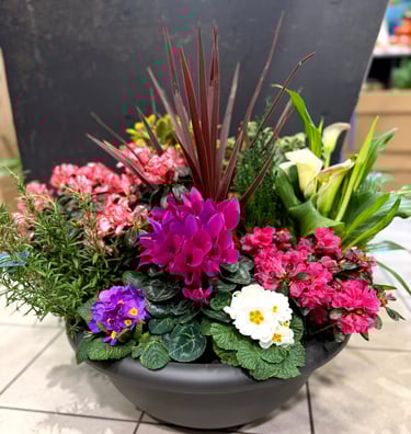 Deuil compostion plantes par Artisan Fleuriste Ergué-Gabéric proche de Quimper