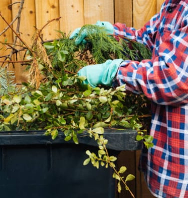 garden staging