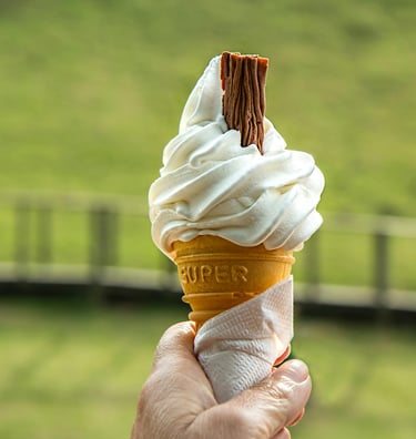 Hire ZAKS Pud Pod ice cream van to enjoy an award winning soft serve whippy ice cream like this