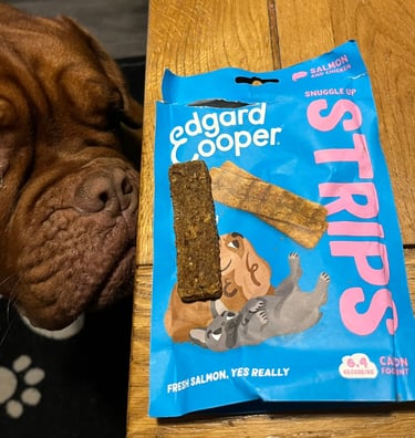 A Close up of Ember sniffing the Snuggle up Strips in Salmon & Chicken flavour
