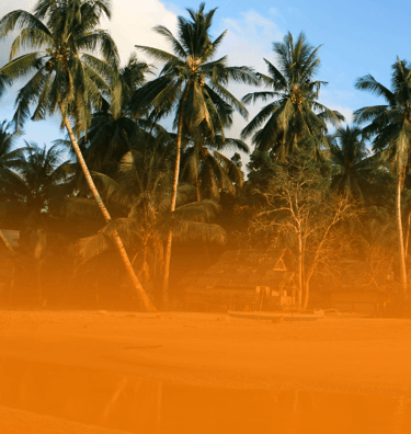 island in port barton with coconut trees