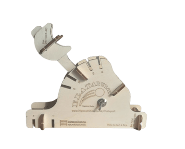 photograph of an assembled Flatapult learning aid