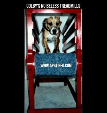 Colby NOISELESS TREADMILLS for American Pit Bull Terrier