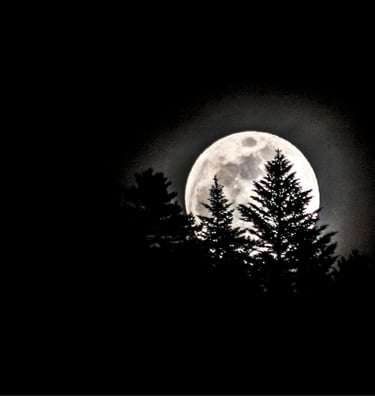 Nocturne