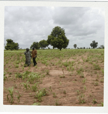 HUMANITARIAN ACTIONS - MAMMA KANDEH