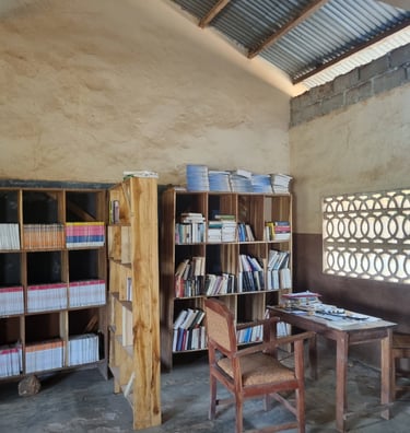 Les livres dans les bibliothèques installées par l'association France Nord-Bénin