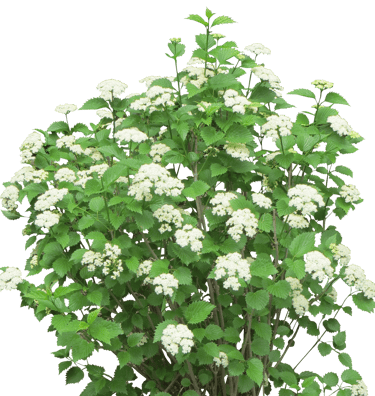 Académie Laé par Pierre Laé : cours particuliers pour enfants et ados, stages toute l'année et ressources pédagogiques