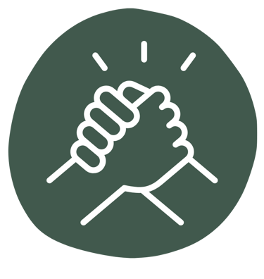 Icon: High Five – persönliche Begleitung und Coaching im Junghundetraining