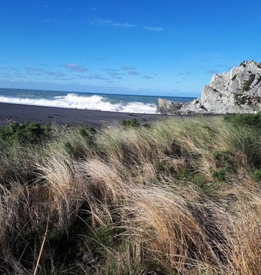 NZ, North Island, White Rock, New Zealand