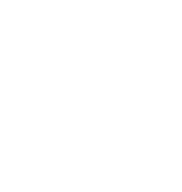 checkmark-icon