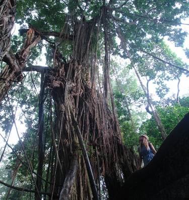 Martina with a large tree in Bali
