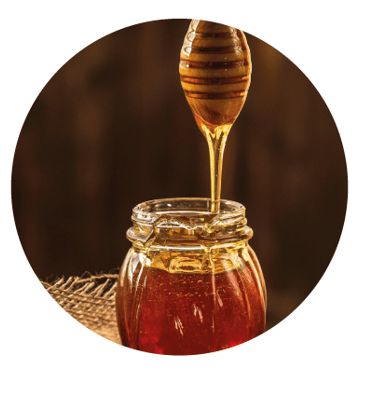 Bouche Cognac VS (Roue des arômes)