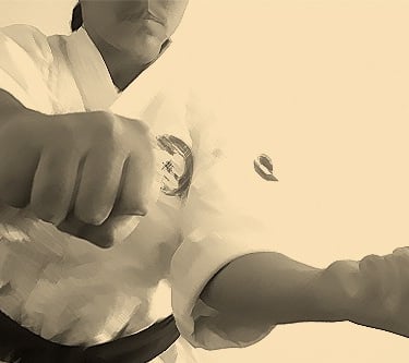 Traditional karate training in Okinawa Goju Ryu dojo environment