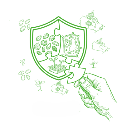 Hand placing a puzzle piece into a green shield featuring seeds, plant cells, and sprouts.