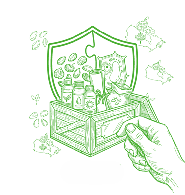 Green line art of natural skincare ingredients in a crate with Canadian maps and shield icon.