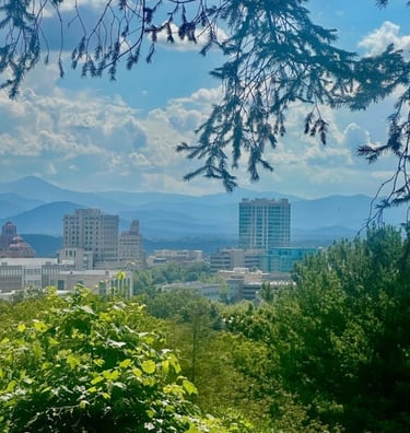 Downtown Asheville in the distance with trees and bushes, representing commercial locksmith services
