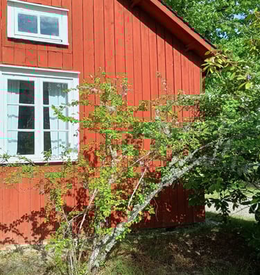 chalet lasurer en peinture naturelle à la place d'une lasure synthétique