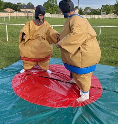 Jeu de Sumos adultes