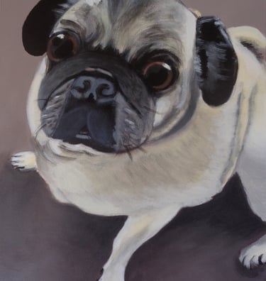 Acrylic on canvas pet portrait 2018, 50.8cm x 60.9cm